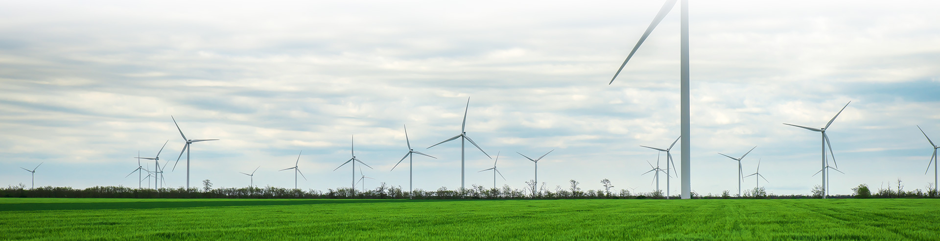 Sustainability